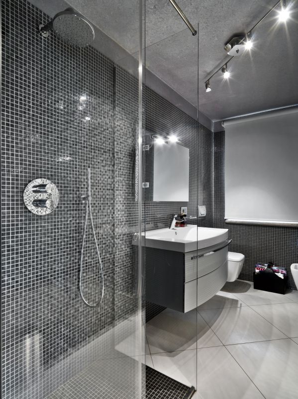 Modern Shower Space